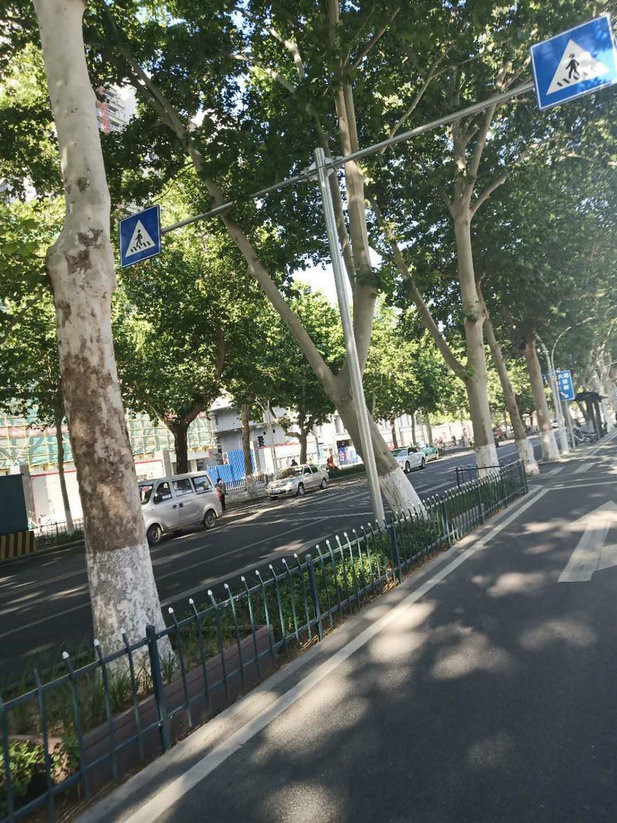 标志杆案例